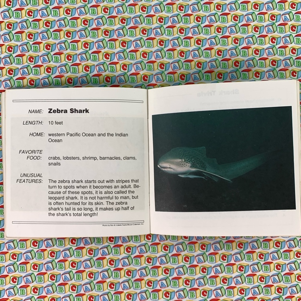 Sharks Learning Book Set for Kids. - Picture 7 of 16